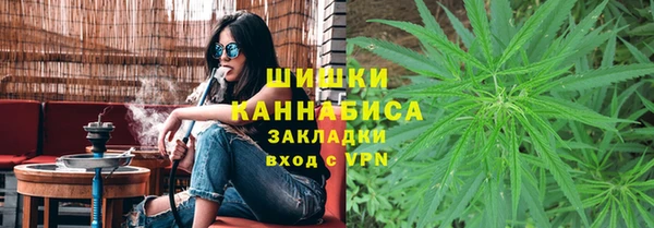 сатива Белоозёрский