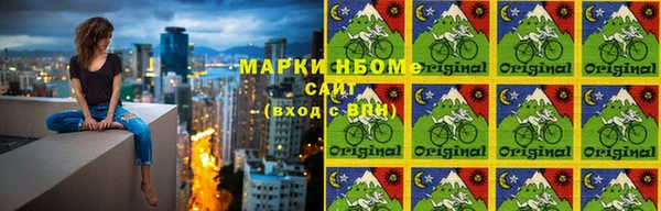 сатива Белоозёрский