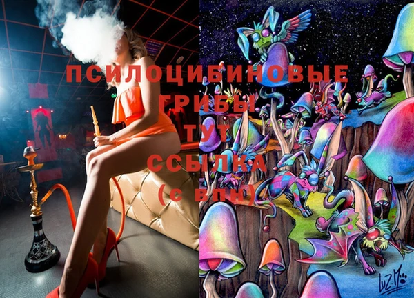 тгк Белокуриха