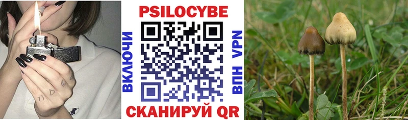 Галлюциногенные грибы Psilocybe  Красноперекопск 