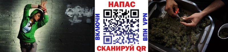 Бошки марихуана тримм  нарко площадка официальный сайт  Красноперекопск 